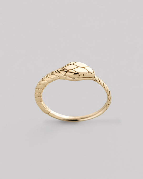Ring OUROBOROS (14k yellow gold)