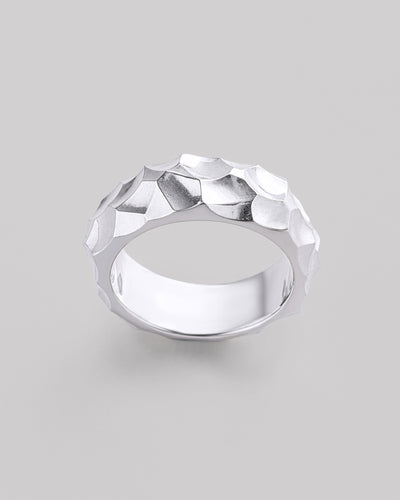 Anello in argento CRATERI