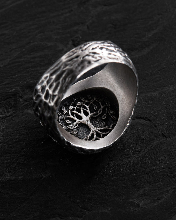 Bague en argent VEGVISIR. RUNES
