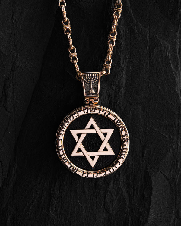 Anhänger DAVIDSTERN mit Ebenholz (14k Gelbgold)