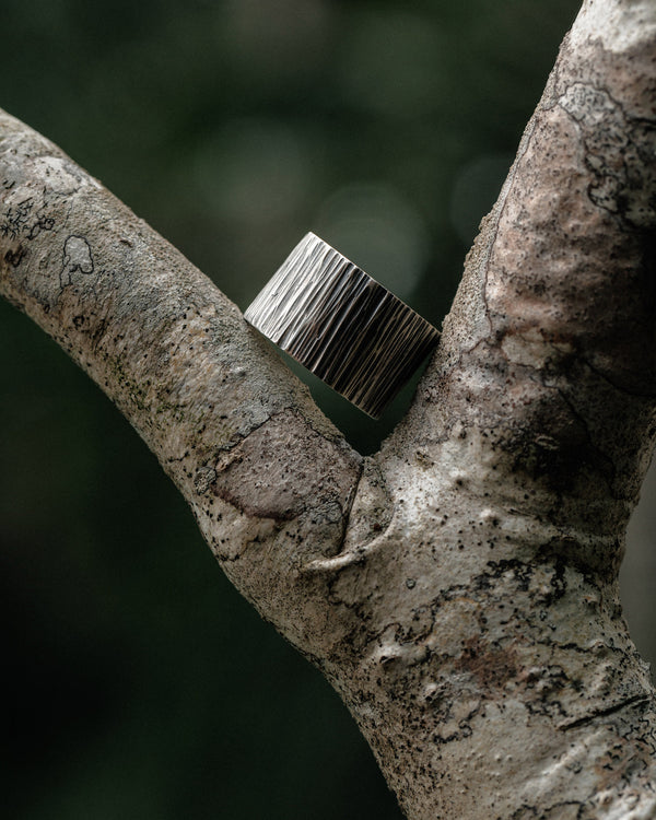 Anello in argento SKILL